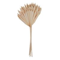 Vickerman 20" Bleached Palm Sun Stem (12 pack)