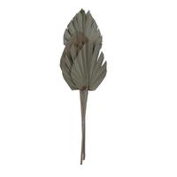 Vickerman 21" Natural King Palm Spear (10 pack)