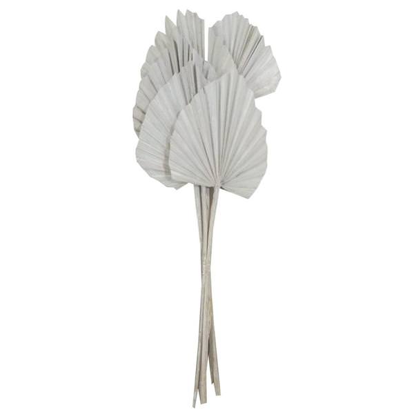 21" White Wash King Palm Spear (10 pack)