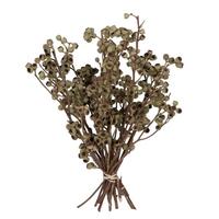 View 14"x1-3" Ambernut Branch (20 Pack)