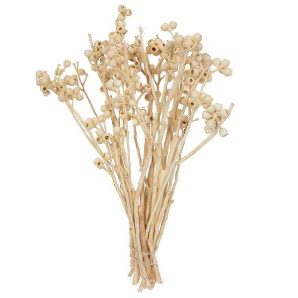 14"x1-3" Ambernut Bleached Branch (20 Pack)