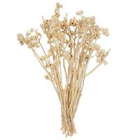 Vickerman 14"x1-3" Ambernut Bleached Branch (20 Pack)