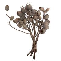Vickerman 11"x4" Natural Bellgum Branch 5-7 Bells Bundle (10 Pack)