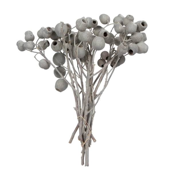 11"x4" Ivory Bellgum 5-7 Bells Preserved Tortum Bundle (10 Pack)