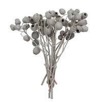 Vickerman 11"x4" Ivory Bellgum 5-7 Bells Preserved Tortum Bundle (10 Pack)