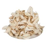 Vickerman 3" Brachychiton Bleached Pods (75 Pack)