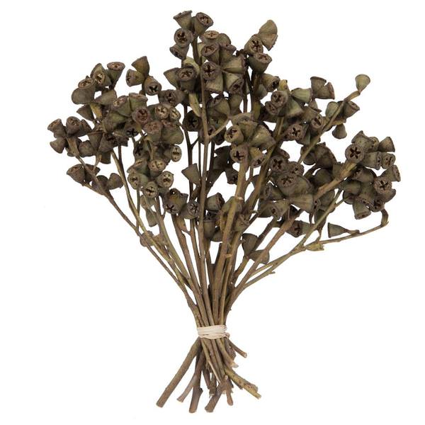 11"x2-4" Conical Gum Branch (20 Pack)