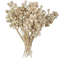 Vickerman 11"x2-4" Conical Gum Branch (20 Pack)
