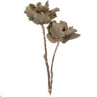 View 14"x6" Queen Flower Small 2 Head Bunch 