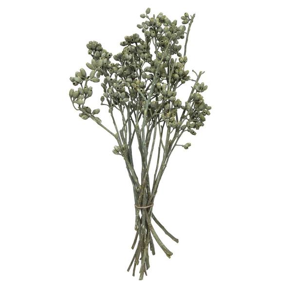 12"x1-3" Green Frosted Eucalyptus (16 Pack)