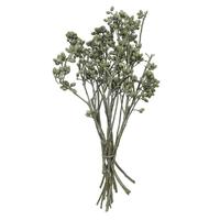 Vickerman 12"x1-3" Green Frosted Eucalyptus (16 Pack)