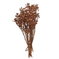 Vickerman 12"x1-3" Orange Frosted Eucalyptus (16 Pack)