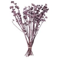 Vickerman 13"x1-3" Red Gum Brombeer Frosted (14 Pack)