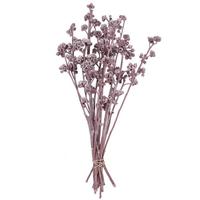 Vickerman 13"x1-3" Red Gum Erika Frosted (14 Pack)