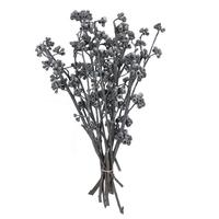 Vickerman 13"x1-3" Red Gum Grey Frosted (14 Pack)