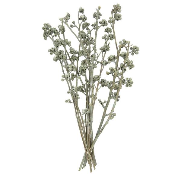 13"x1-3" Red Gum Green Frosted (14 Pack)