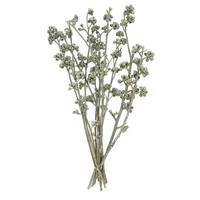 Vickerman 13"x1-3" Red Gum Green Frosted (14 Pack)