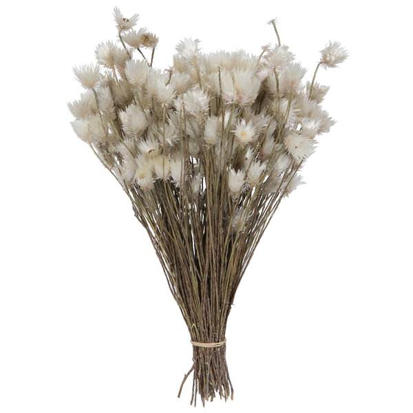14"x5" Everlasting Shiny White Hammer Bundle (60g Pack)