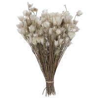 Vickerman 14"x5" Everlasting Shiny White Hammer Bundle (60g Pack)