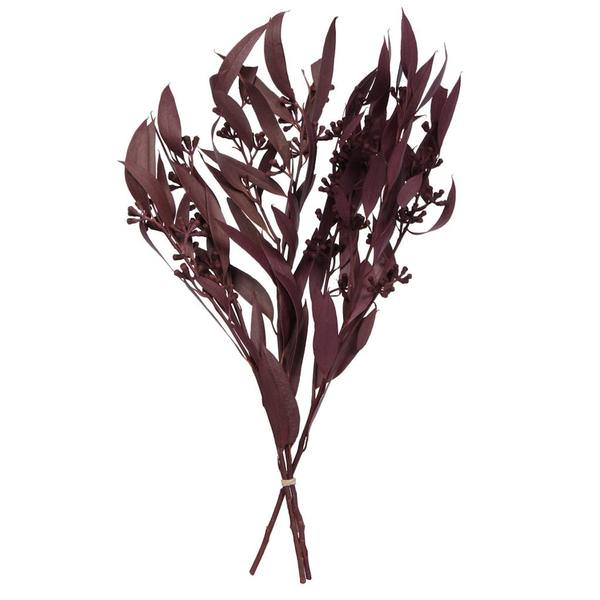 15-17" x 8" Amber Fruit Foliage Brombeer (3.5 oz Pack)