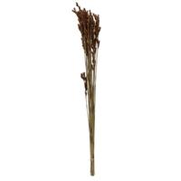 Vickerman 33"x5" Thatch Reed 3.5oz Bunch Bundle