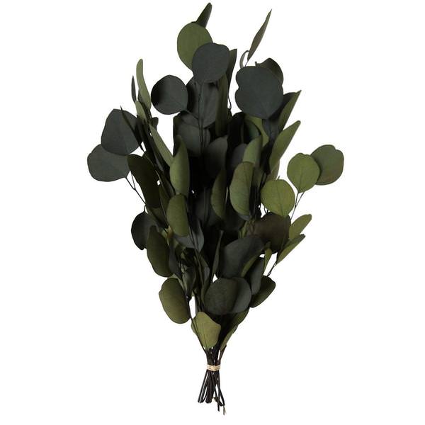 18-20"x8" Artificial Green Eucalyptus Populus Spray
