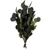 Vickerman 18-20"x8" Artificial Green Eucalyptus Populus Spray