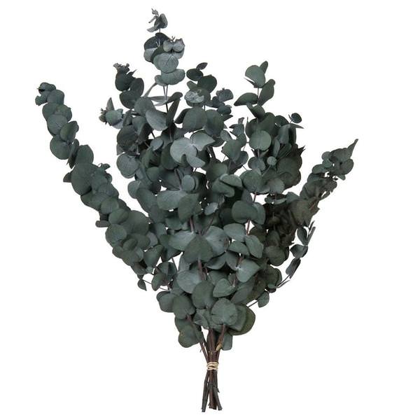 18-20"x9" Artificial Green Eucalyptus Populus Spray