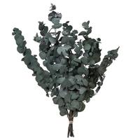 Vickerman 18-20"x9" Artificial Green Eucalyptus Populus Spray