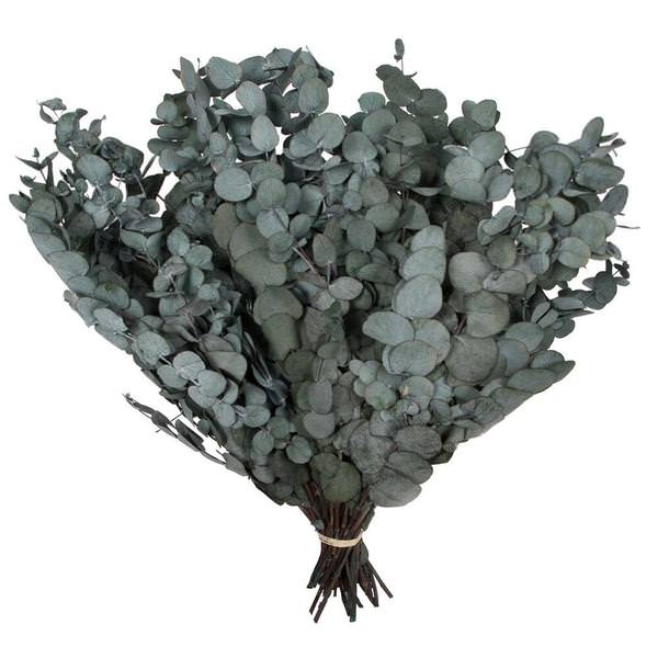 18-20"x9" Artificial Green Eucalyptus Spiral Spray