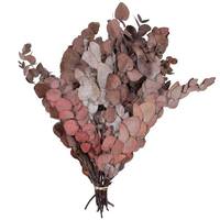 Vickerman 18" Eucalyptus Spiral Red (3.5oz Bundle)