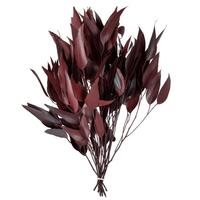 Vickerman 18-20"x8" Eucalyptus Willow Red (5-6 oz Pack)