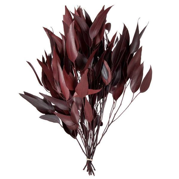 18" Red Willow Eucalyptus (2 5oz bundles)