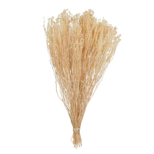 19"x4" Staavia Bleached Bunch (3.5oz Pack)