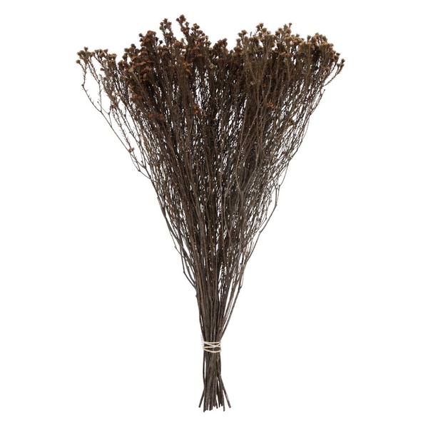 19"x4" Staavia 3.5 oz Preserved Hydrangea