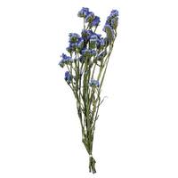 Vickerman 19.5" Artificial Light Blue Statice Flower 1.25oz Flower Bunch