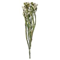 Vickerman 19.5" Artificial White Statice Flower 1.25oz Flower Bunch