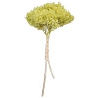 Vickerman 15" Apple Green Hydrangea