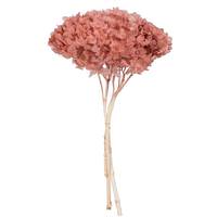 Vickerman 15" Erika Pink Hydrangea