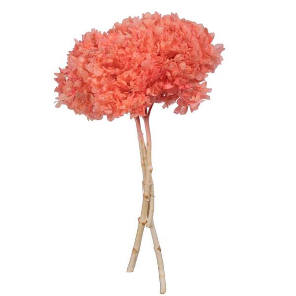 15" Salmon Hydrangea