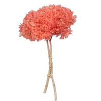 Vickerman 15" Salmon Hydrangea