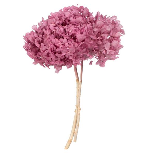 15" Brombeer Hydrangea