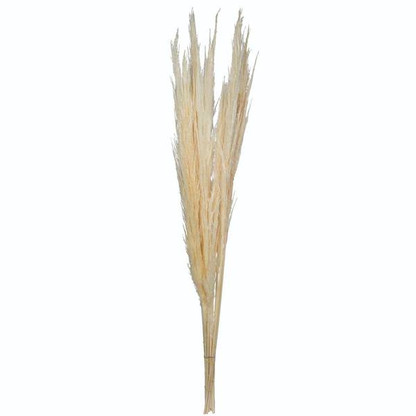46" Bleached Pampas Grass Bundle (6 stems)