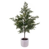 Vickerman 37" Green Cypress Sapling Potted