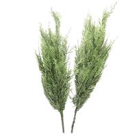 Vickerman 33" Artificial Green Cedar Branch (2 Pack)
