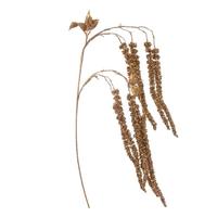Vickerman 44" Gold Amaranthus Spray Christmas Decoration (2 Pack)