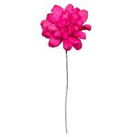 Vickerman 6" Raspberry Maize Dahlia on 18" stem (6 Pack)
