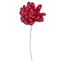 Vickerman 6" Red Maize Dahlia on 18" stem (6 Pack)
