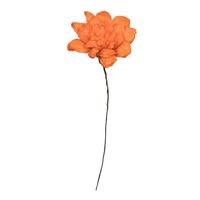 Vickerman 6" Orange Maize Dahlia on 18" stem (6 Pack)