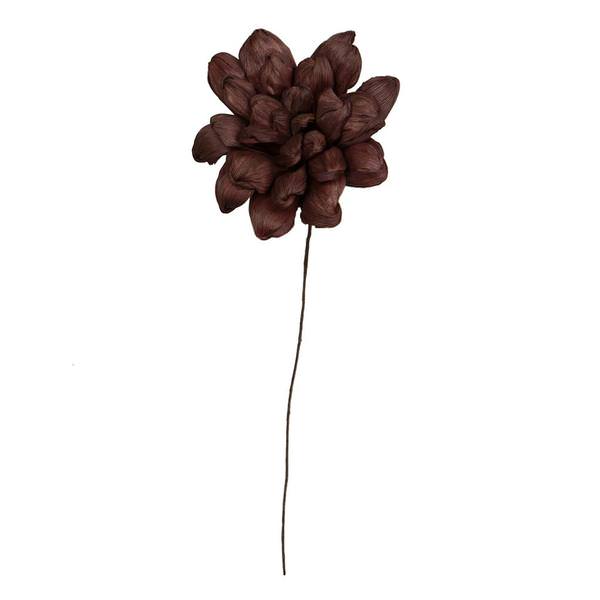 6" Brown Maize Dahlia on 18" stem (6 Pack)
